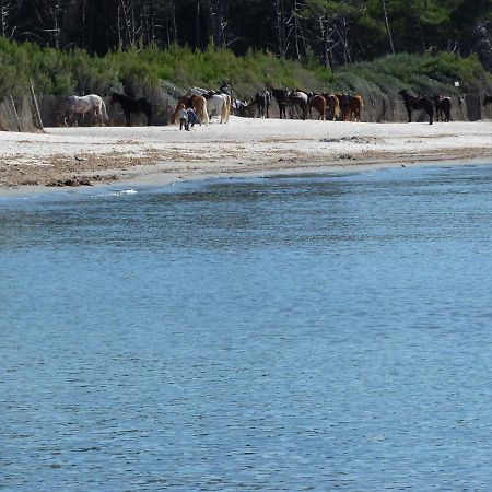 Affittacamere A Due Passi Dal Mare Marina di Cecina Ngoại thất bức ảnh