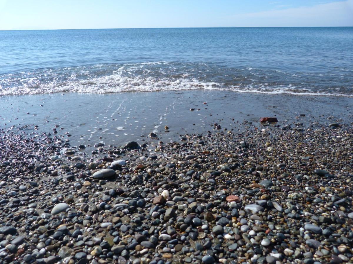 Affittacamere A Due Passi Dal Mare Marina di Cecina Ngoại thất bức ảnh